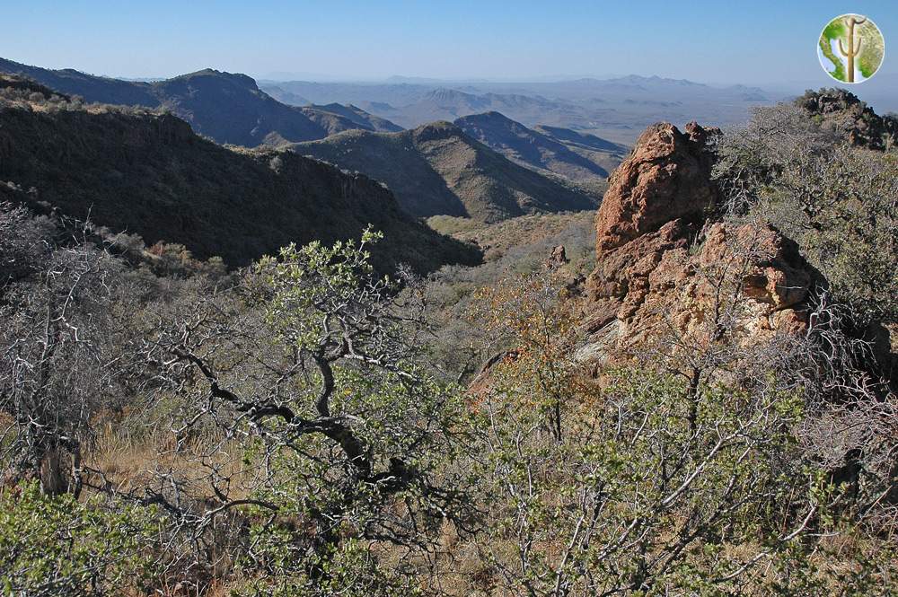 Sierra El Humo looking down north facing canyon Sierra El Humo looking down north facing canyon